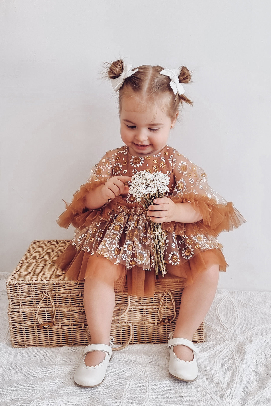 Toffee Daisy