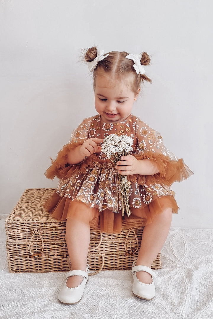 Toffee Daisy