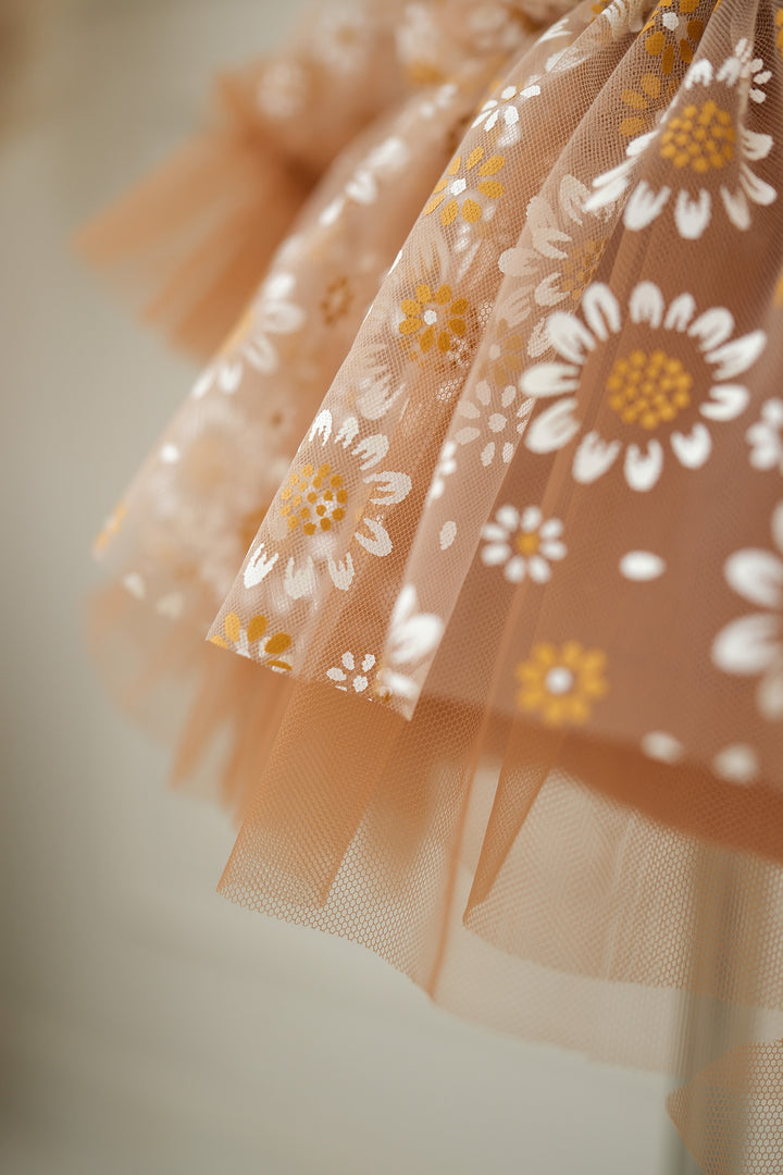 Toffee Daisy