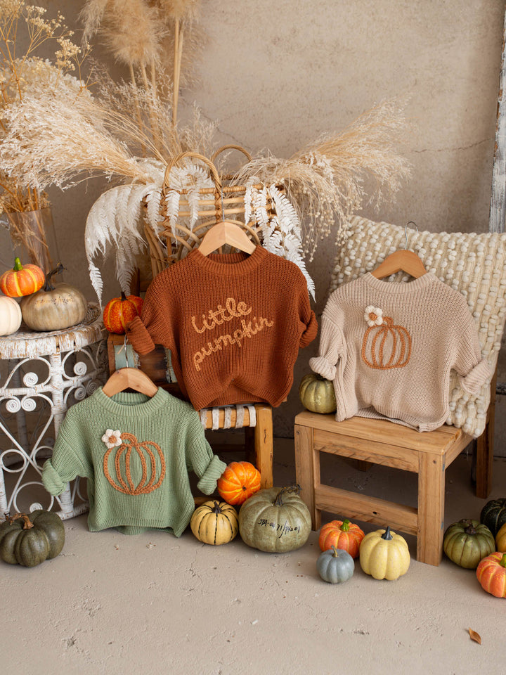 Little Pumpkin rust cotton knit sweater with pumpkin detail - Before & Ever Kids