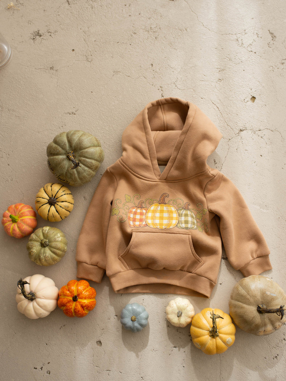 Pumpkin Patch mocha hooded top with pumpkin plaid print - Before & Ever Kids