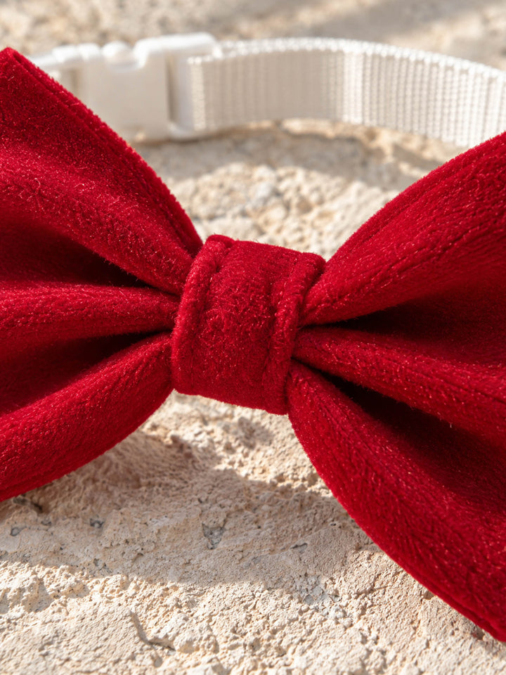 Velvet Bow Tie in red, close up of the velvet bow with the strap buckle behind it - Before & Ever Kids
